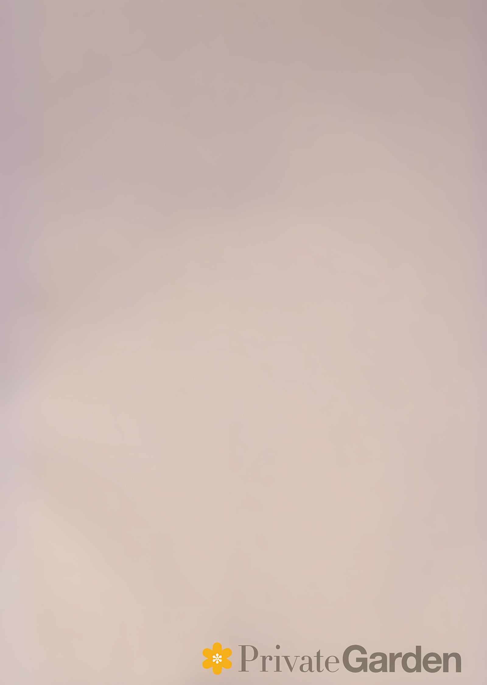 Illustrious Shabaora [Tsurusaki Takahiro], Illustrious Shabaora, page 2 of 22